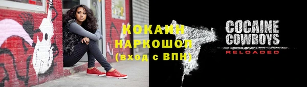 ГАЛЛЮЦИНОГЕННЫЕ ГРИБЫ Абаза
