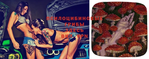 2c-b Приозерск