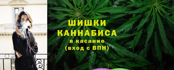 ГАЛЛЮЦИНОГЕННЫЕ ГРИБЫ Абаза
