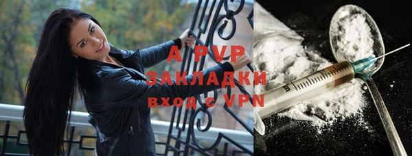 ГАЛЛЮЦИНОГЕННЫЕ ГРИБЫ Абаза